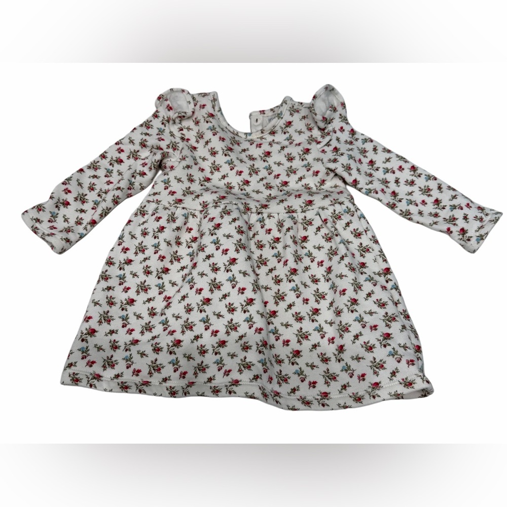 Ralph Lauren Baby Girl Dress Long Sleeve Fleece Flowers‎ 12-18 Month